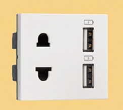 IndoAsian Make Shynora Combi Euro socket and USB Type A + Type A 3.1A 2 Module White Color